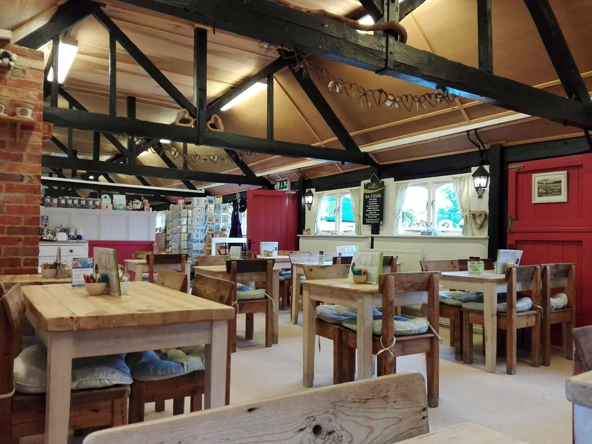 Pamphill Dairy Parlour Café photo (photo 1 of 3)
