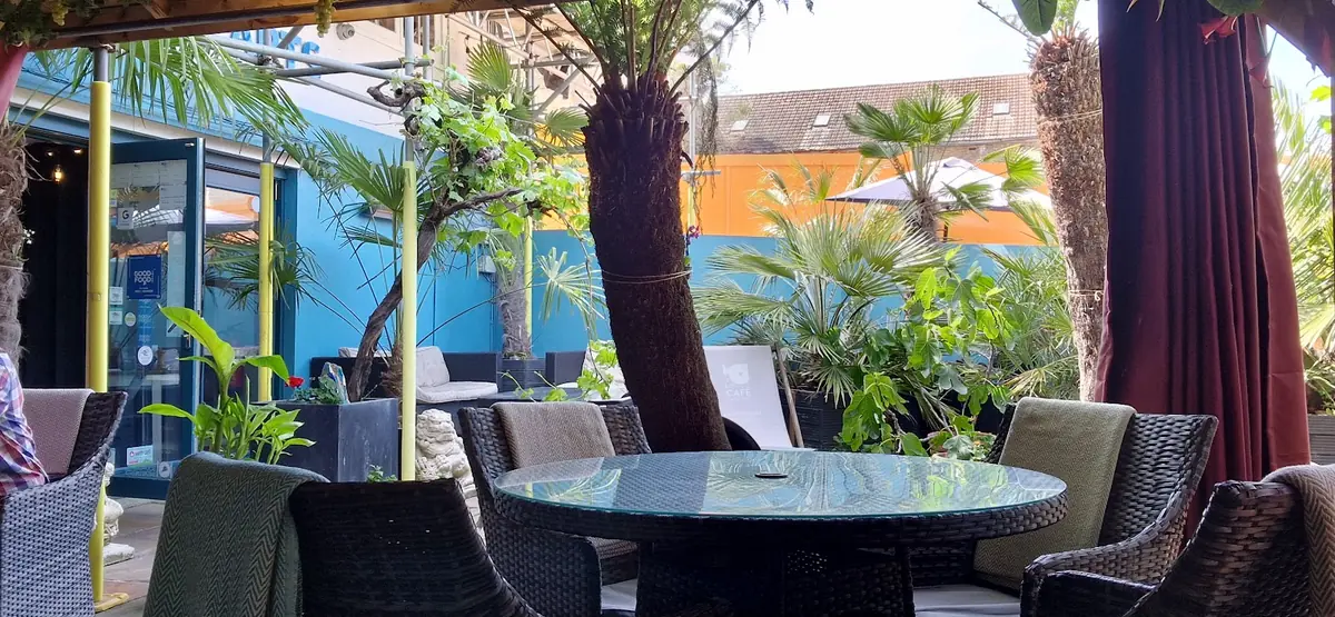 Cafe Nucleus — Cafes in Chatham