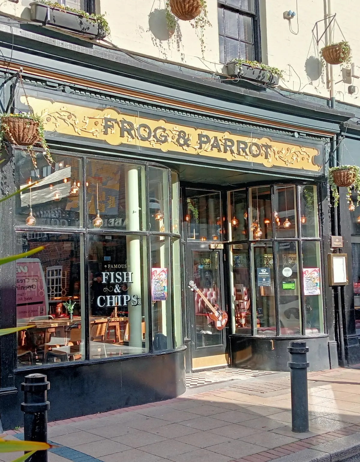 Frog & Parrot — Bars in Sheffield