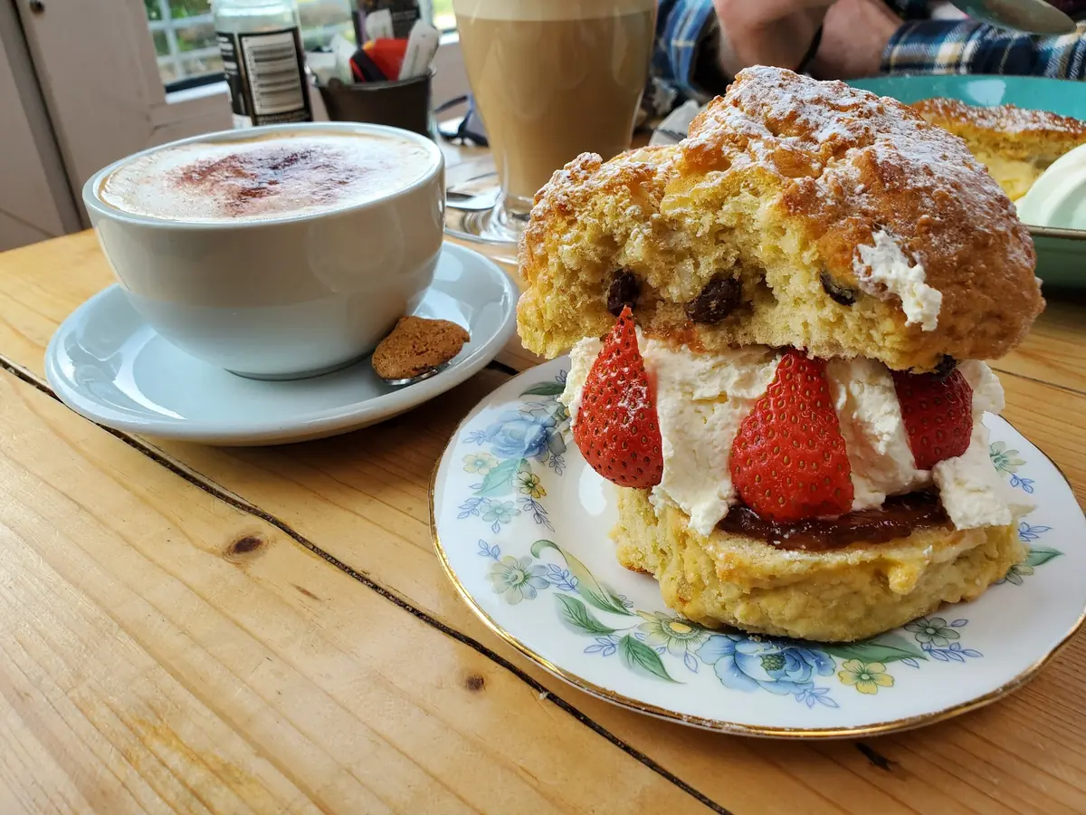 Wavecrest Cafe photo (photo 2 of 3)