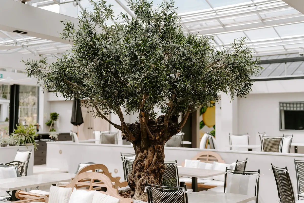 The Glasshouse — Restaurants in Windlesham