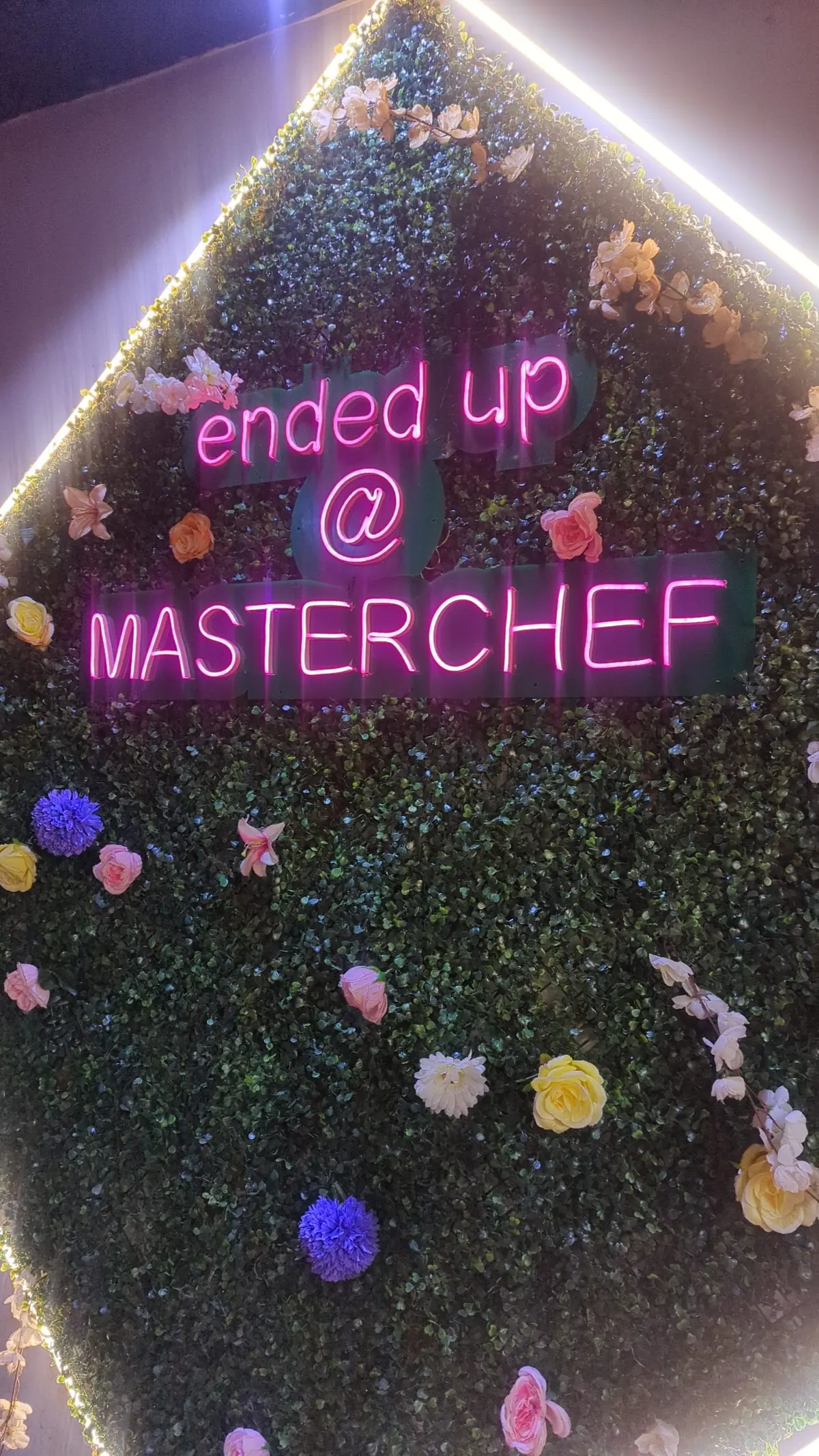 Master Chef photo (photo 2 of 3)