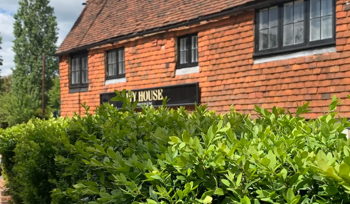The Ivy House Tonbridge photo (photo 2 of 3)