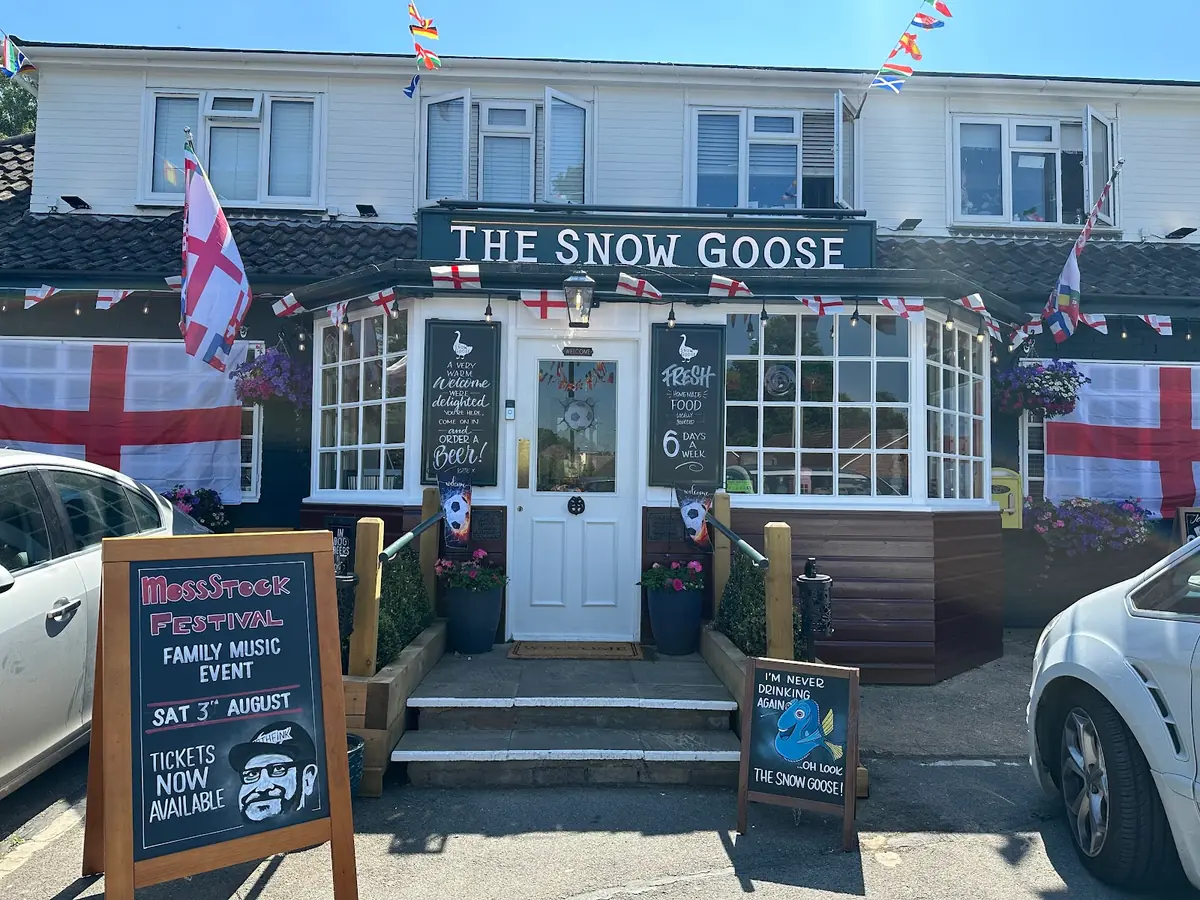 The Snow Goose
