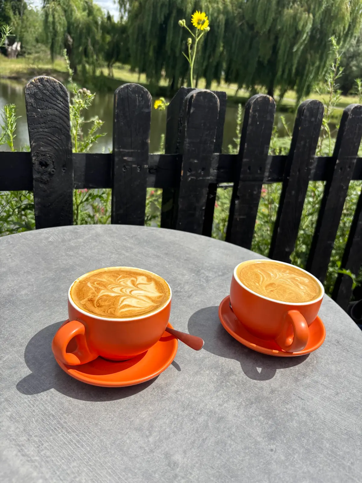 Bean Theory (Newnham) photo (photo 3 of 3)