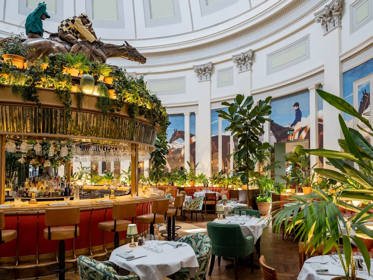 The Ivy Montpellier Brasserie Cheltenham — Restaurants in Cheltenham