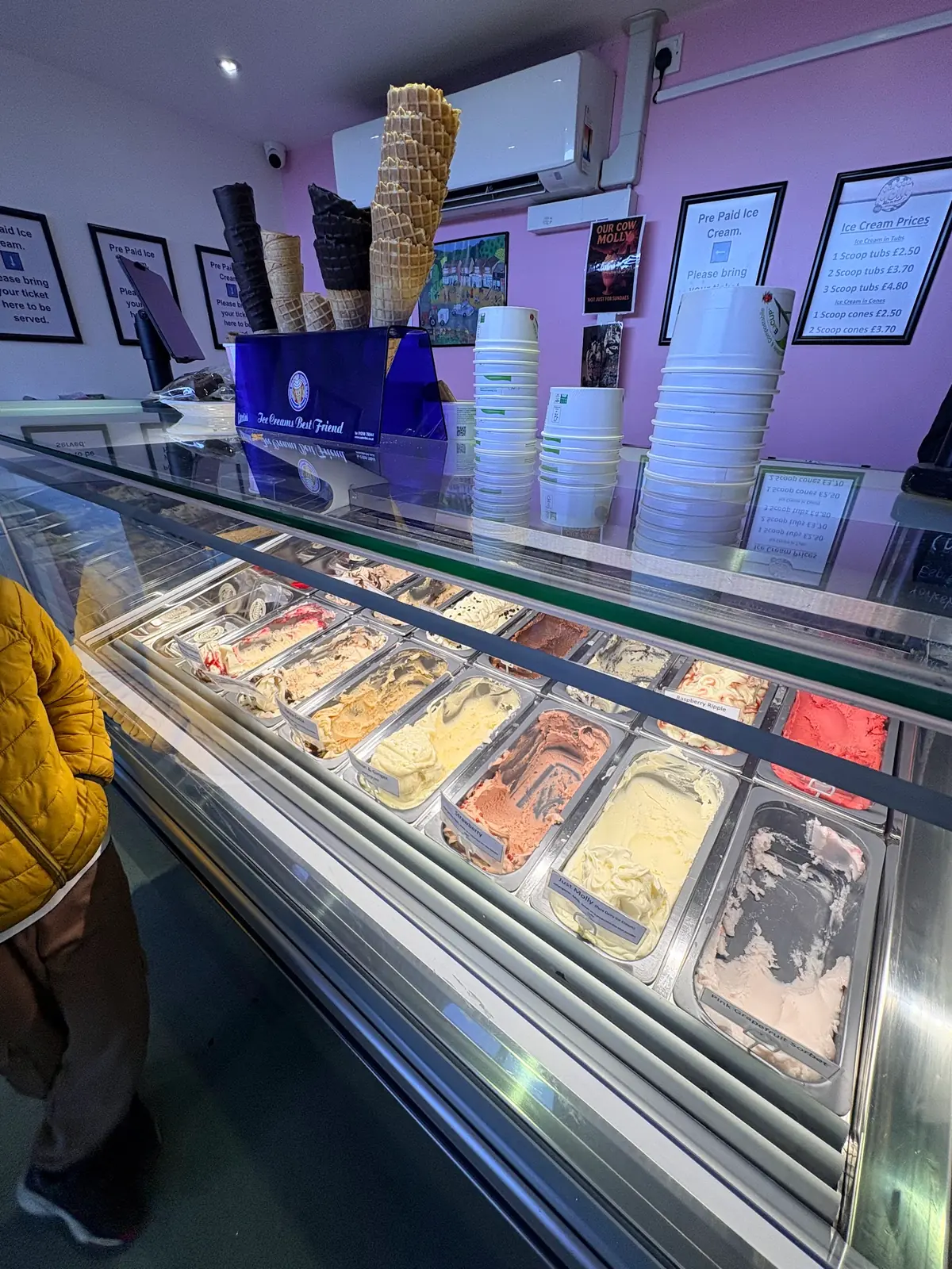 Our Cow Molly Dairy Ice Cream photo (photo 2 of 3)