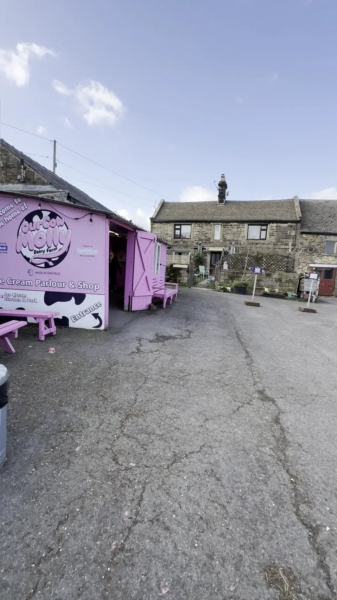 Our Cow Molly Dairy Ice Cream photo (photo 1 of 3)