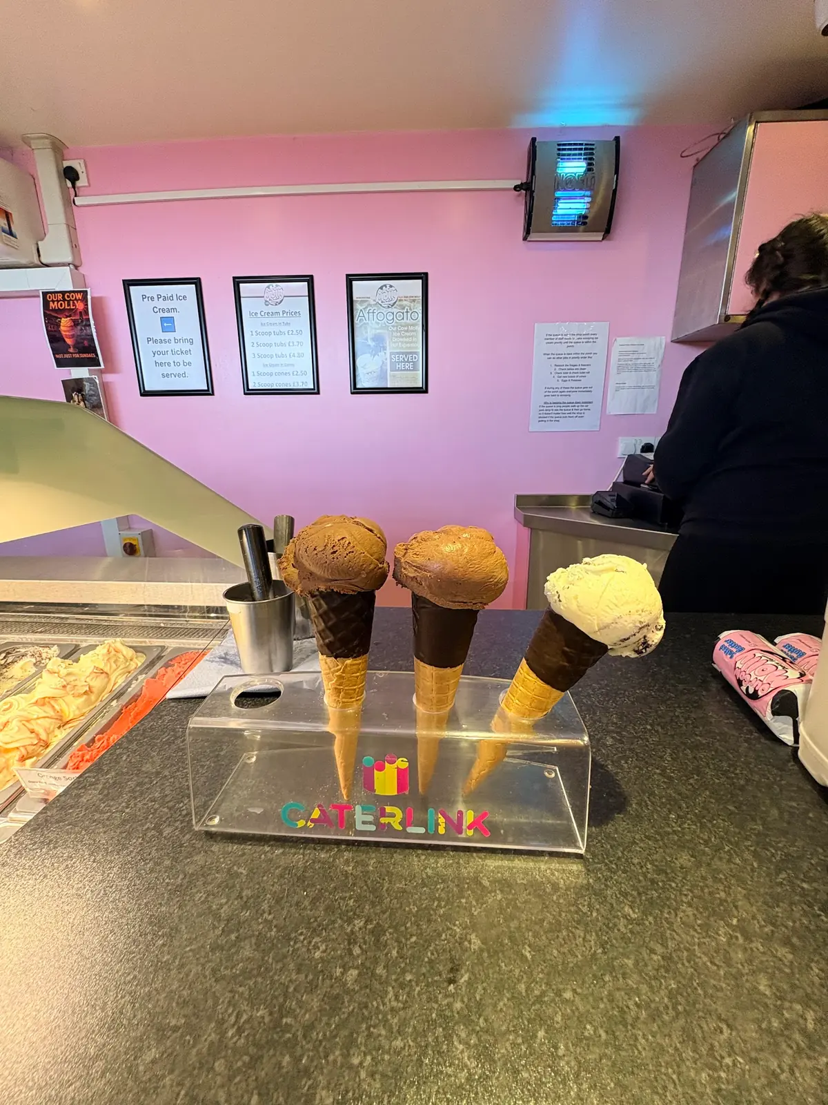 Our Cow Molly Dairy Ice Cream photo (photo 3 of 3)
