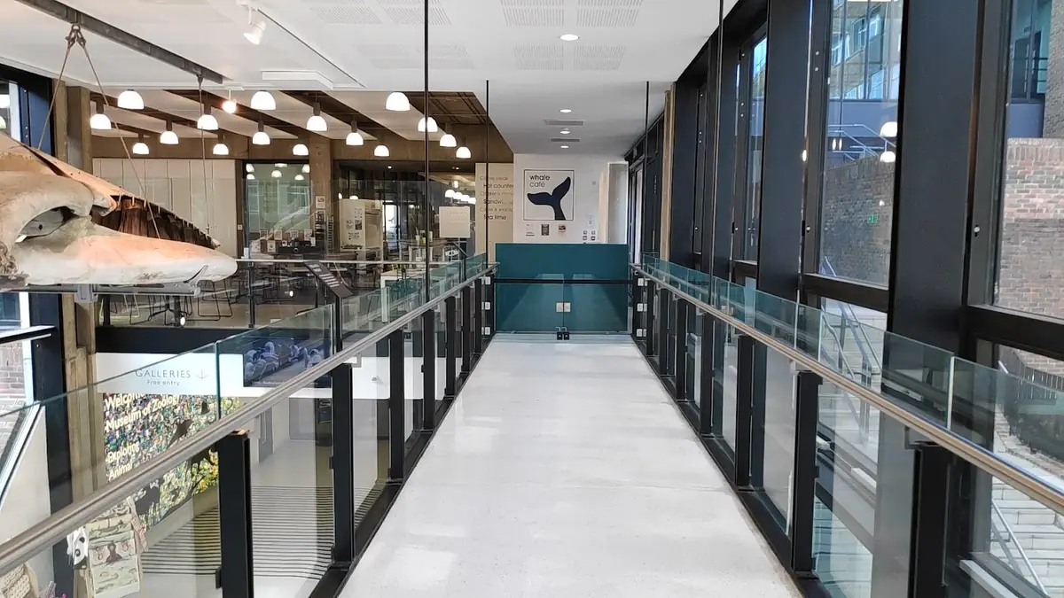 Whale Cafe photo (photo 1 of 3)