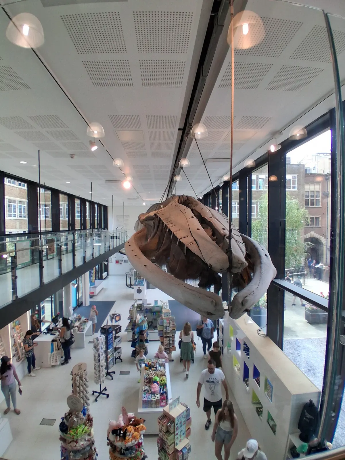 Whale Cafe photo (photo 3 of 3)