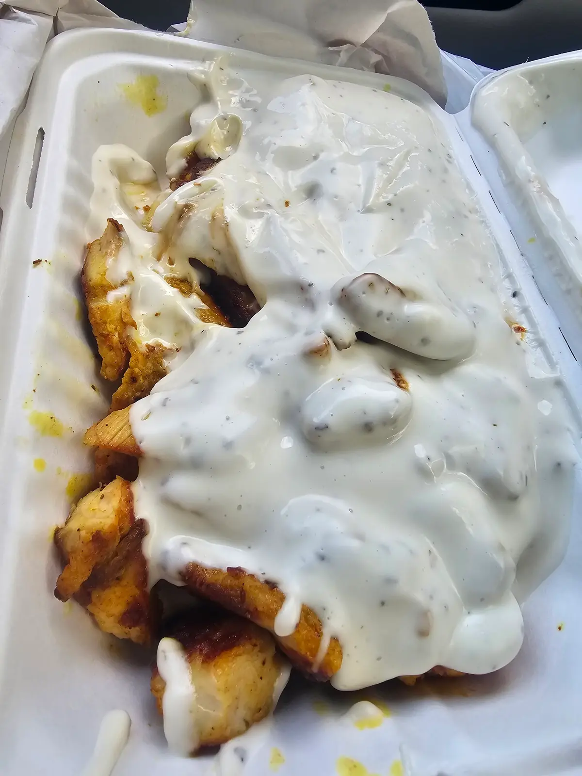 Family Kebab Van photo (photo 3 of 3)