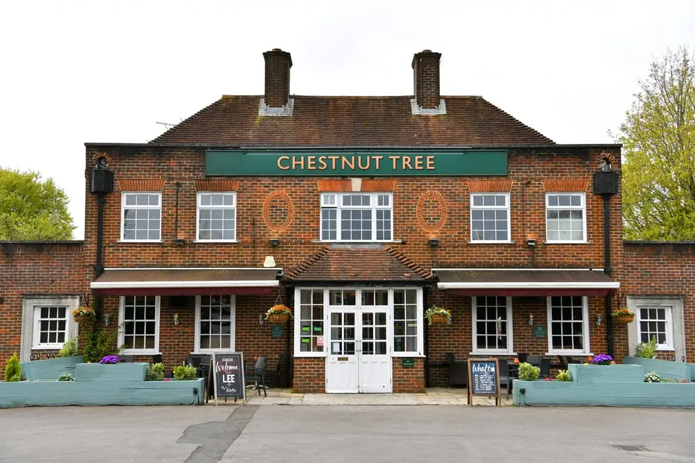 Chestnut Tree photo (photo 2 of 3)
