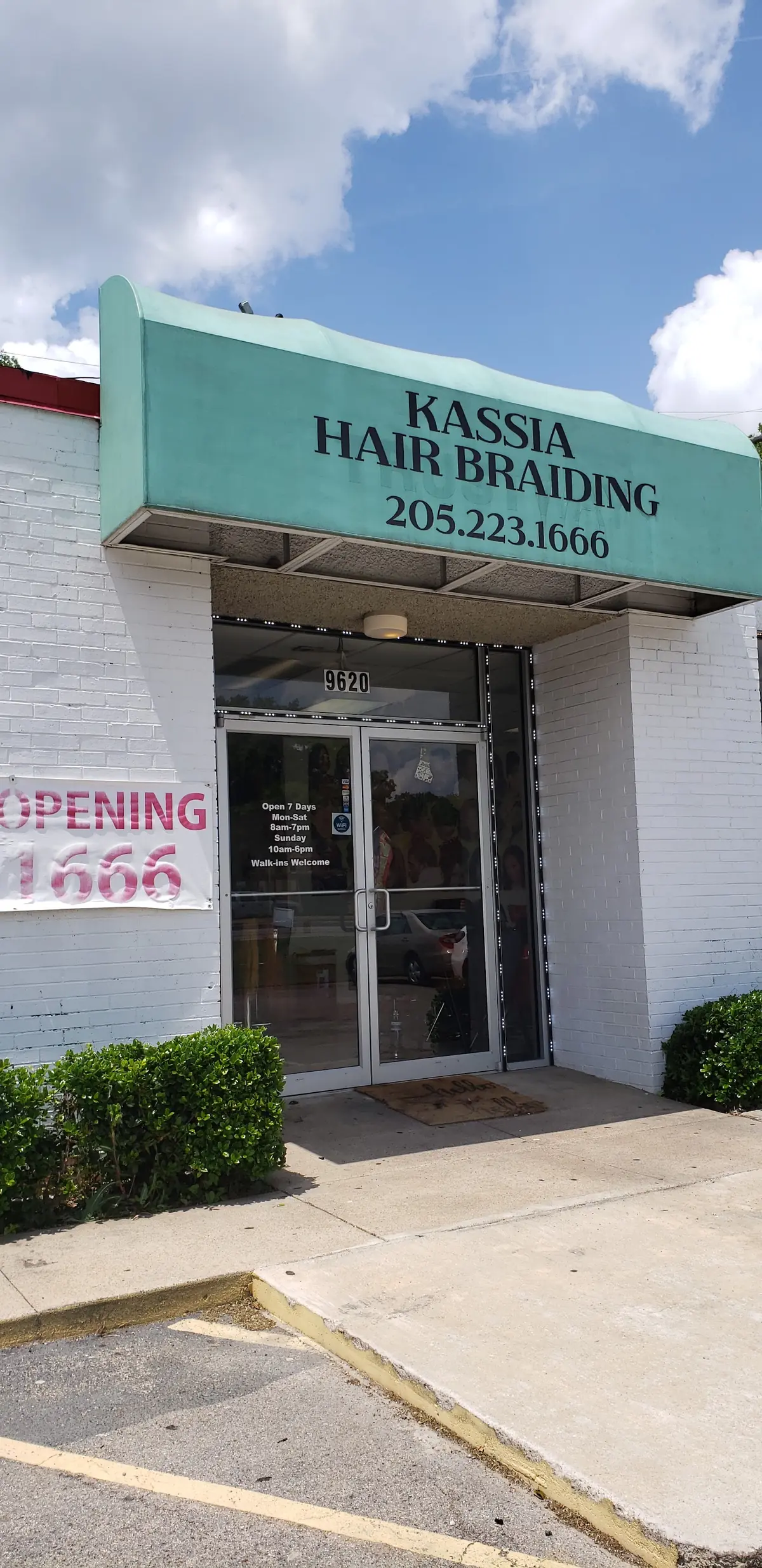 kassia african hair braiding photo (photo 1 of 3)