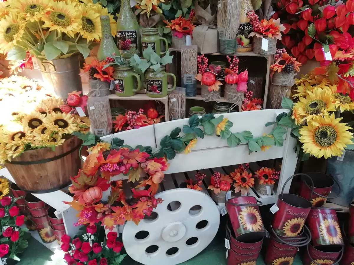 Sandhill Nurseries Cafe photo (photo 3 of 3)