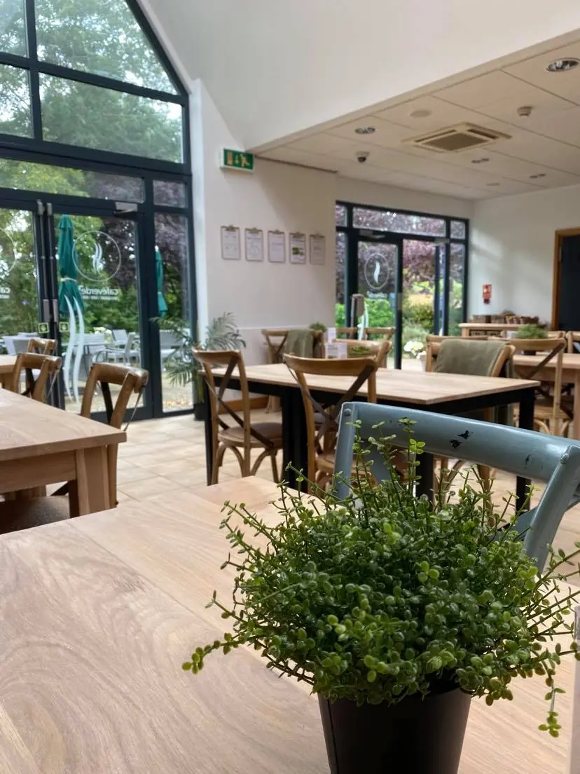Cafe Verde photo (photo 1 of 3)