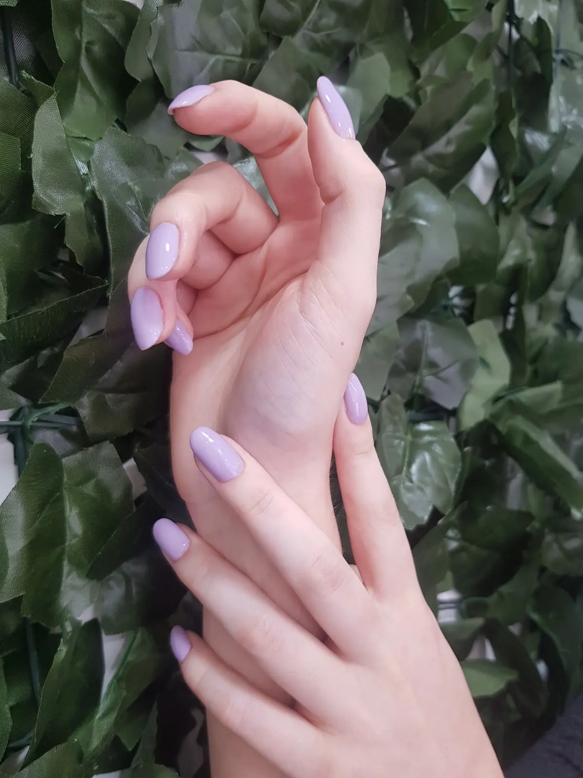 Millies Beauty and Aesthetics photo (photo 1 of 3)