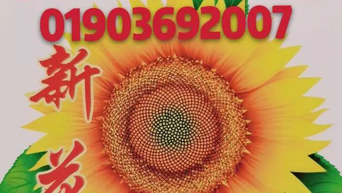 New Sunflower Chinese Takeaway — Chinese restaurants in Worthing