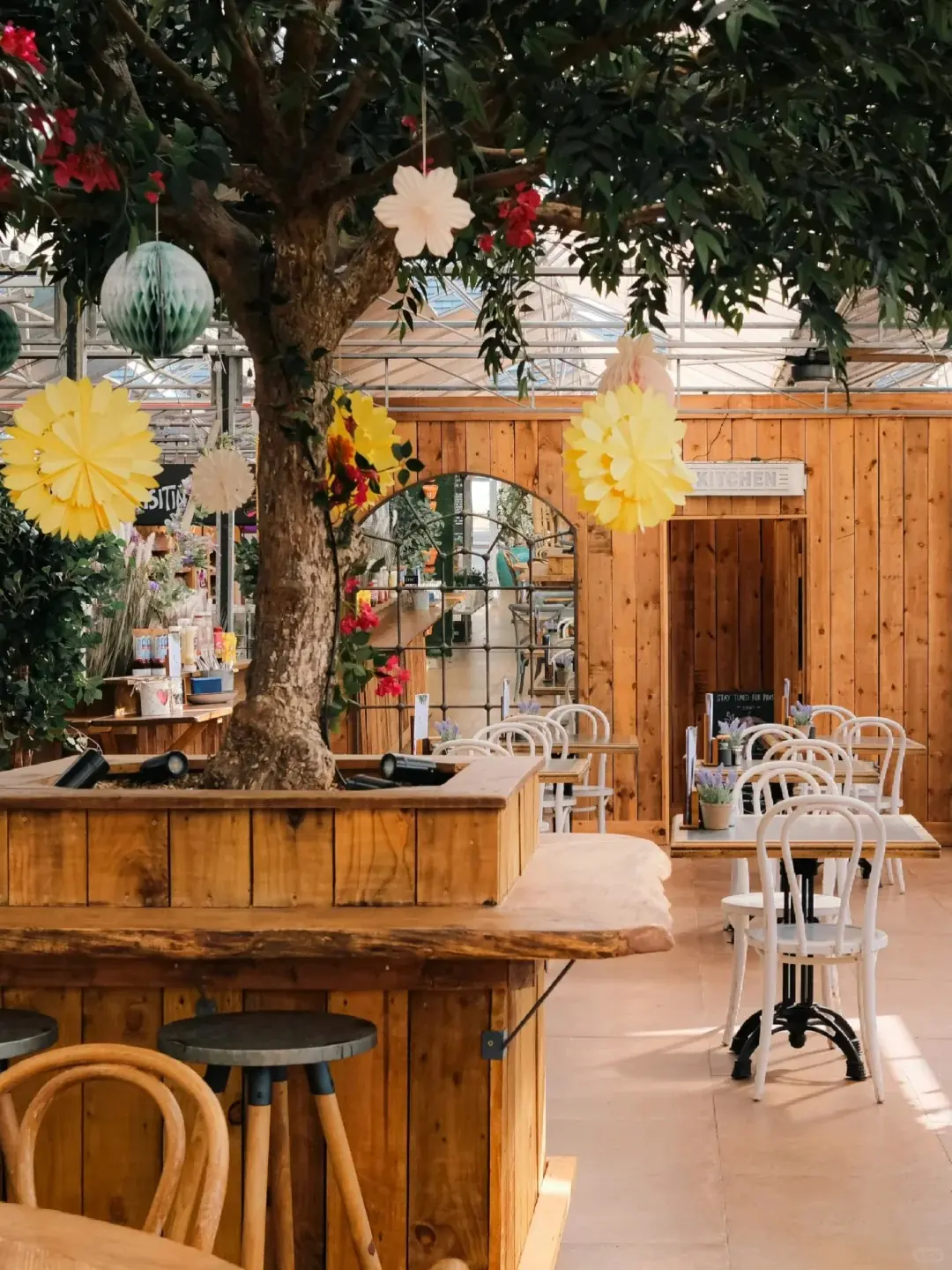 Mayfield Lavender Glasshouse Cafe and Gift & Plant Shop photo (photo 1 of 3)