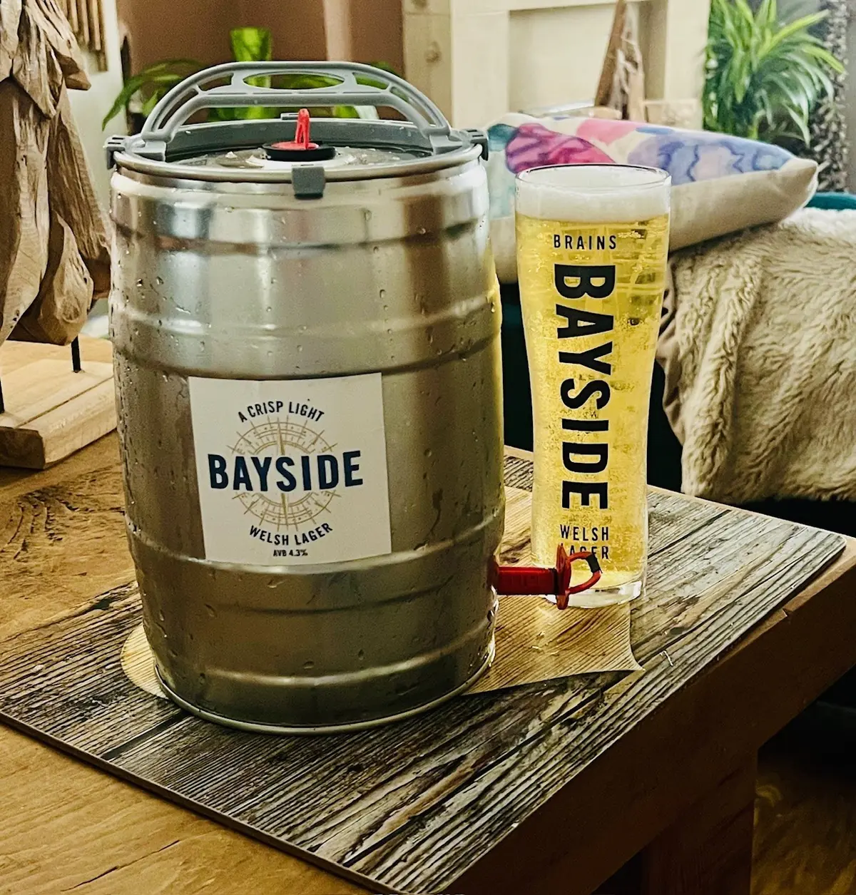 SA Brain & Co photo (photo 2 of 3)